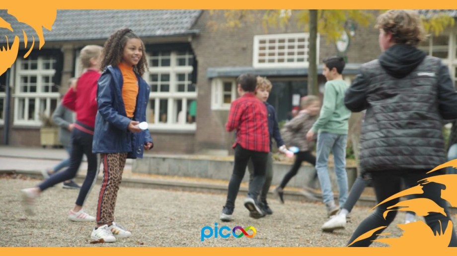 Picoo B.V. EINDHOVEN afbeelding 2